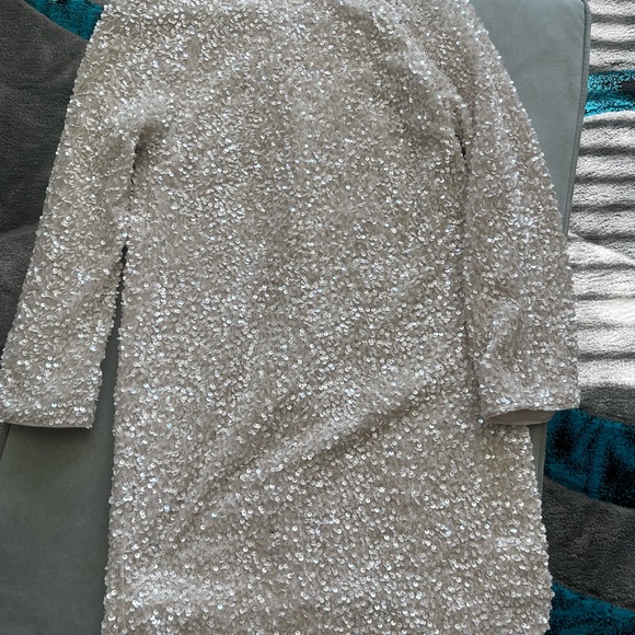Elegant Sequin Dress - Picture 3 of 3